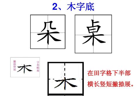 木字部|木字旁的字